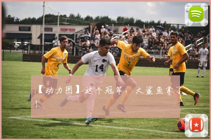 【动力图】这个冠军,大鲨鱼拿了!